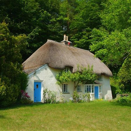 Lew Quarry Cottage Lewdown Екстер'єр фото